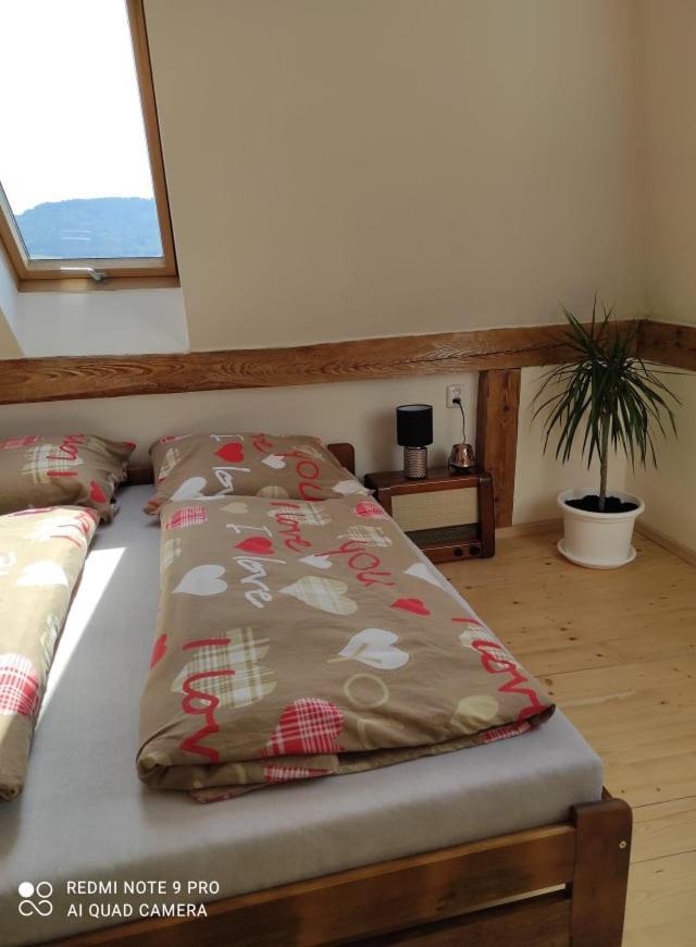 Art-House 4 Attic Apartment Decin Dış mekan fotoğraf