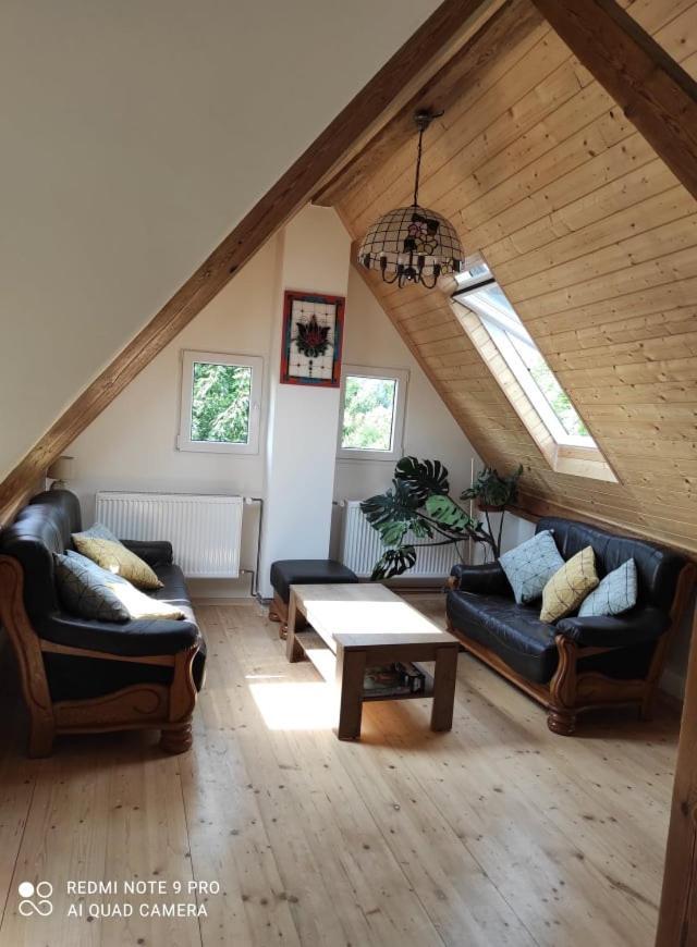 Art-House 4 Attic Apartment Decin Dış mekan fotoğraf